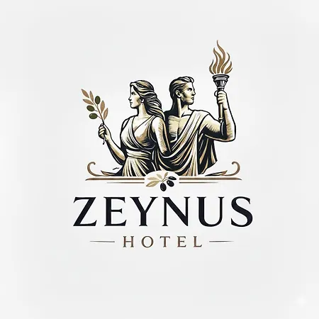 Отель Zeynus Kadikoey 3*